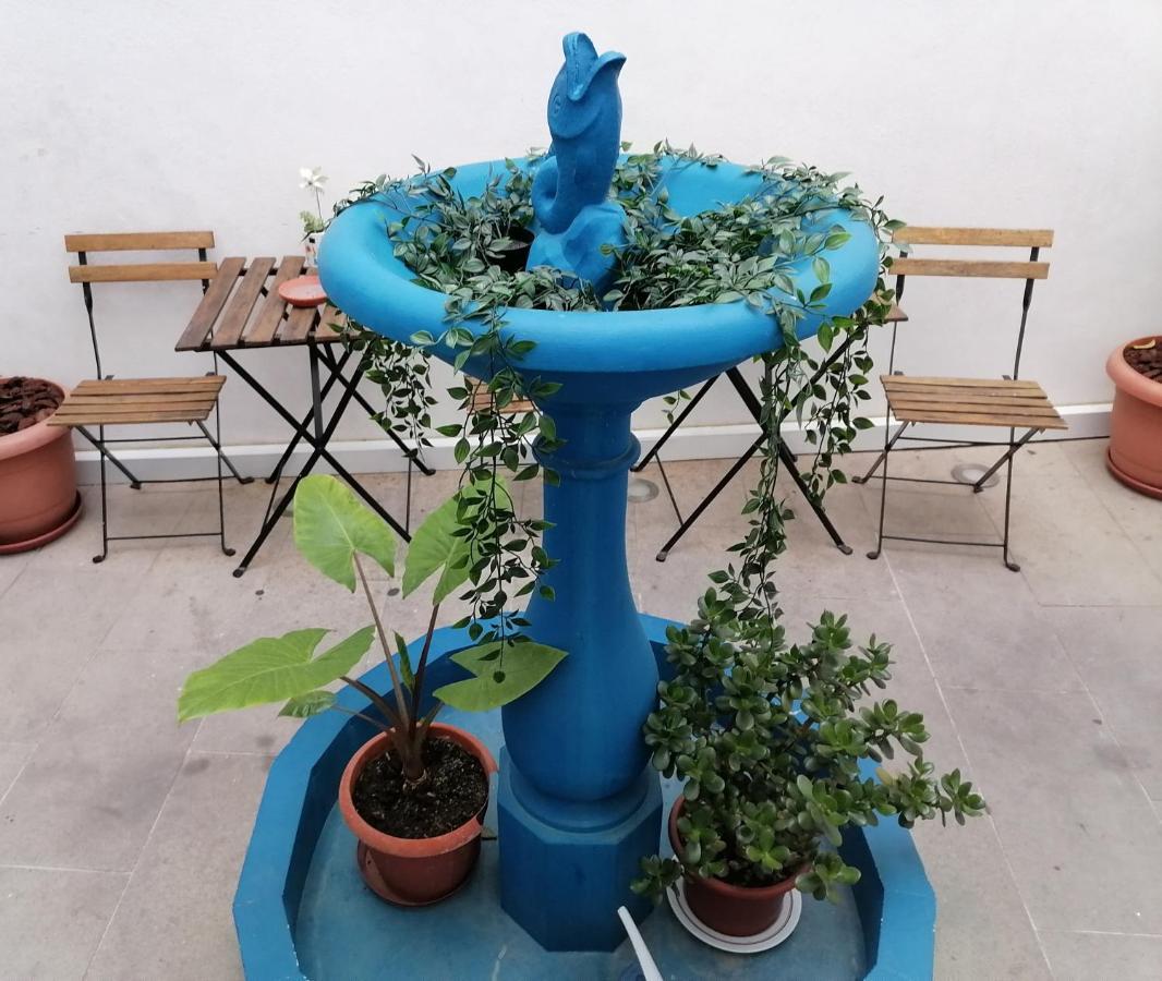 Old Evora Hostel المظهر الخارجي الصورة